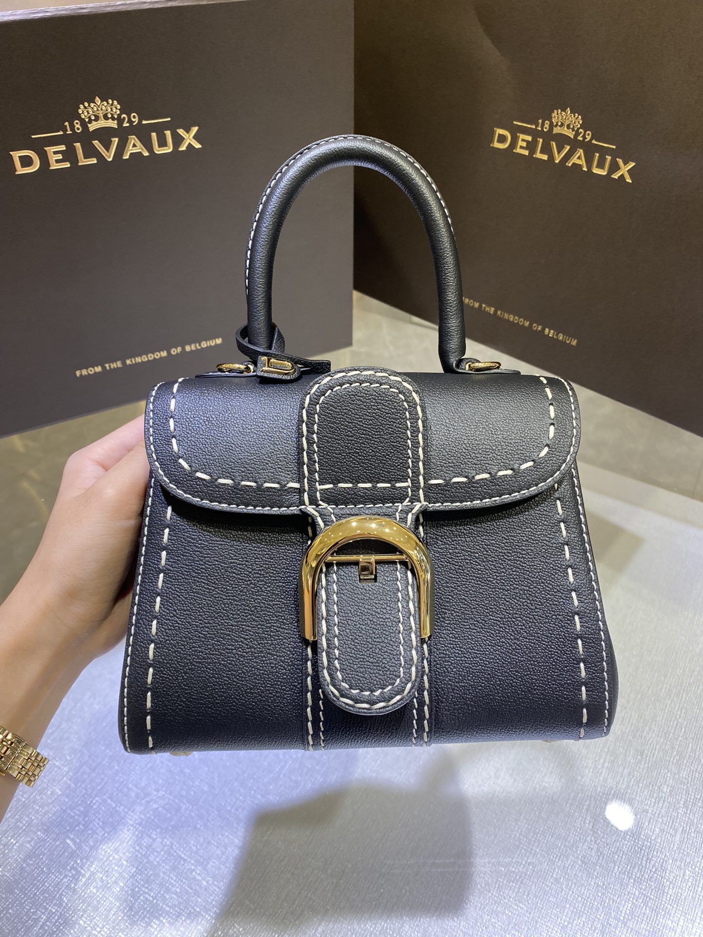 델보 브리앙 박스백 미니